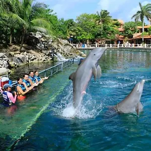 Increible Estudio En Puerto Aventuras, Con Alberca # 201 Puerto Aventuras